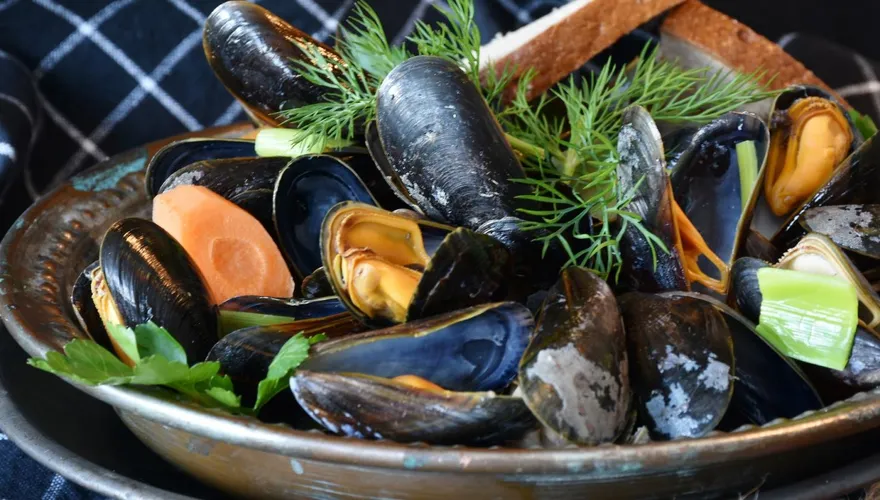 淡菜不是菜！營養師：「這海鮮」營養價值不輸深海魚