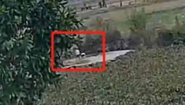 影/畫面驚悚！3歲女童墜井亡　4歲男孩自曝「把她推到了很深的地方」
