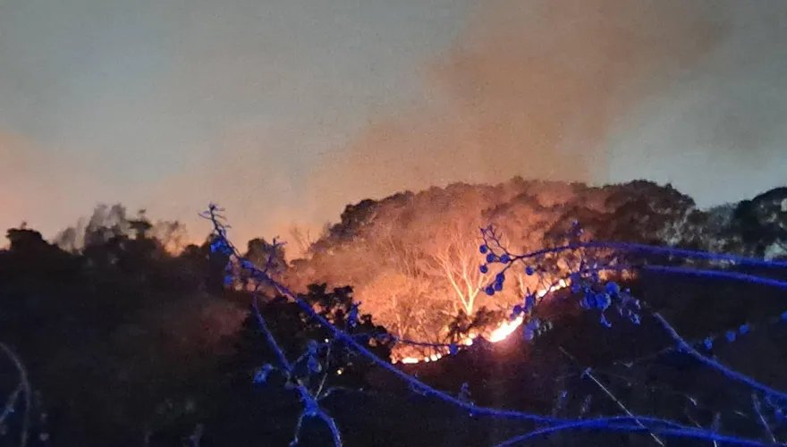影/高雄大寮火燒山！水源不足狂燒4小時　76警消漏夜搶救