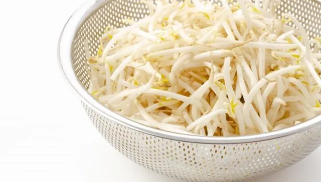 化肥生發的豆芽有毒不可吃？食藥署：正確清洗烹煮就沒事！