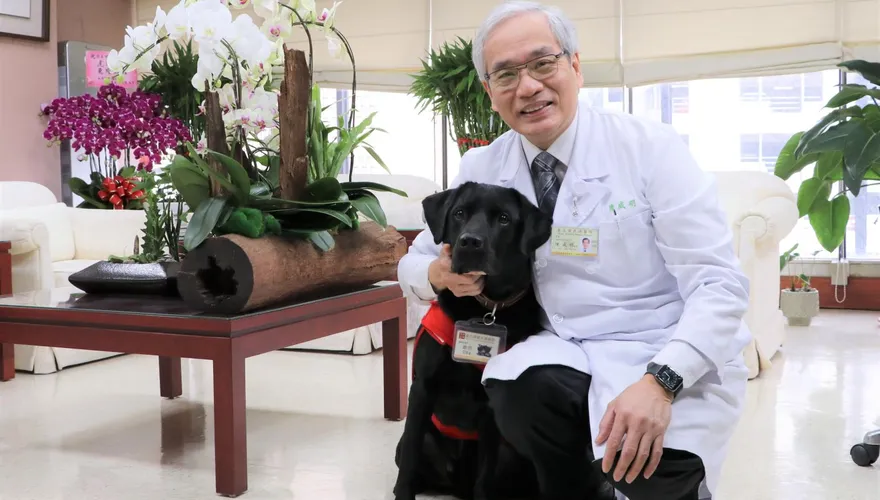 全台首隻「治療犬」駐點北榮！「歐巴」不僅暖心陪伴還會鞠躬送行