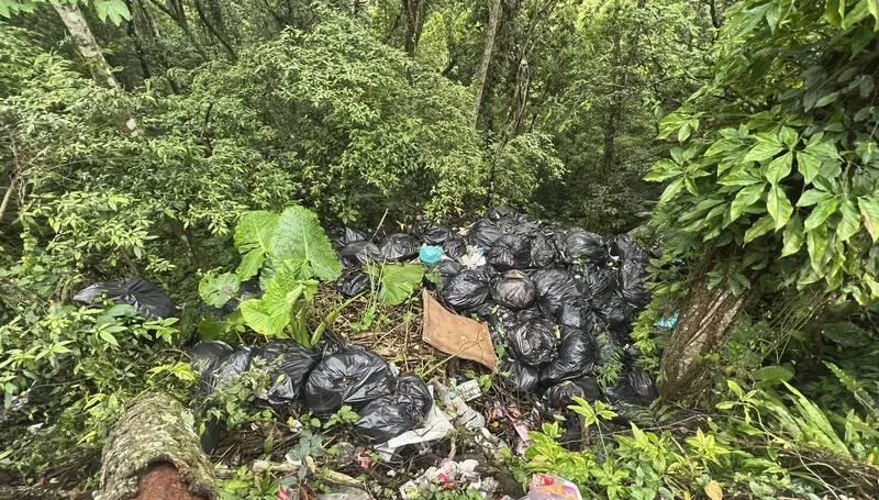 苗栗露營區無良員工濫倒垃圾　營主急切割：員工個人行為