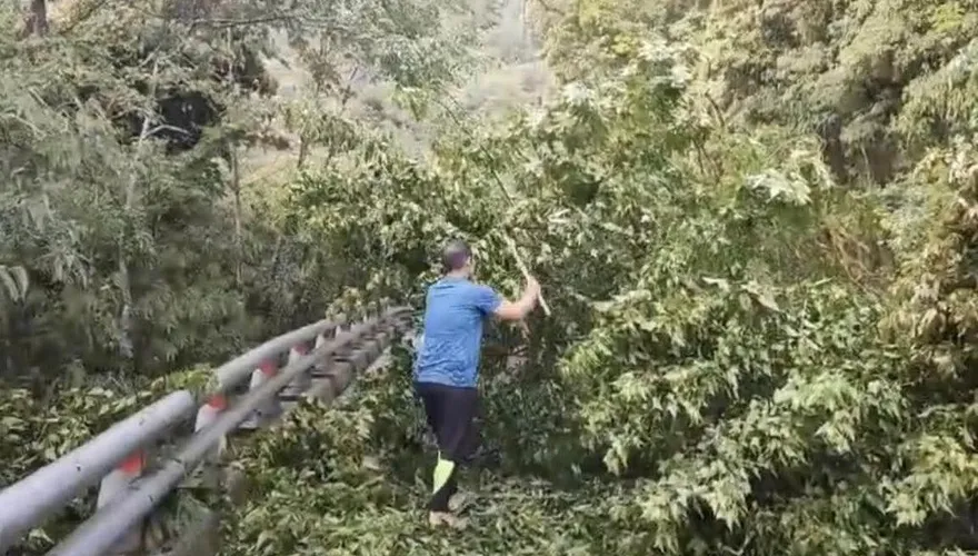 梅雨鋒面強襲！台東山區大雨　南橫公路大樹橫倒路面