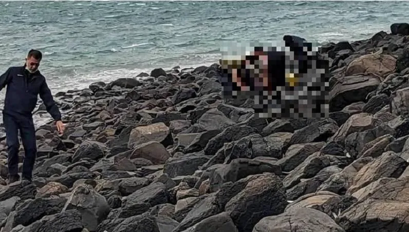 7旬阿伯出海捕魚噗通跳下水！妻見「徹夜未歸」報警　透早在海邊見遺體