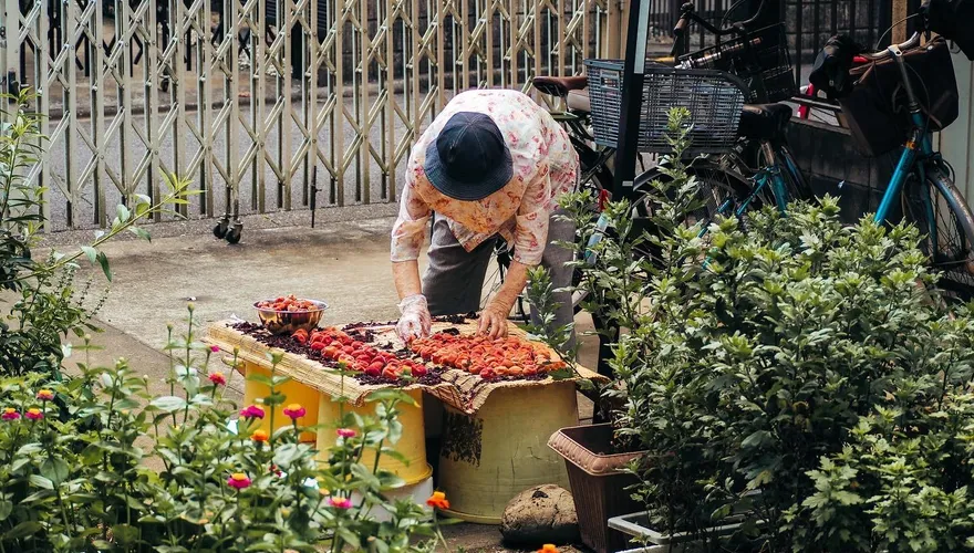 悲慘母親節！日本54歲男菜刀砍82歲媽　頸部中刀、倒臥血泊斷氣