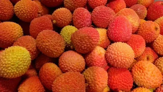 荔枝泡鹽水更毒！吃不熟荔枝恐致「荔枝病 」：食用4大忌曝、2病患慎食
