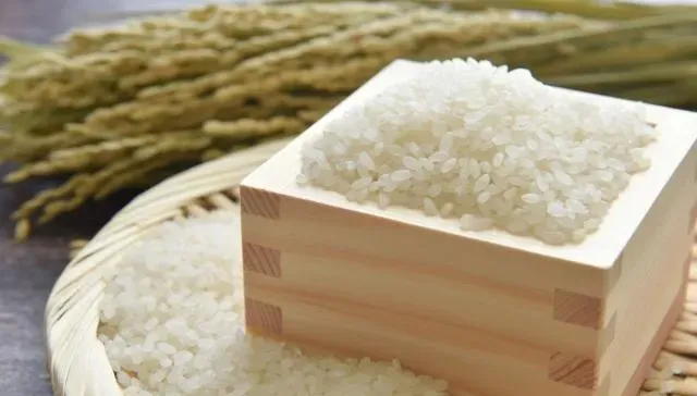 澱粉不吃也會出事！維持身材穩定血糖　醫師推薦8可吃、6不吃食物