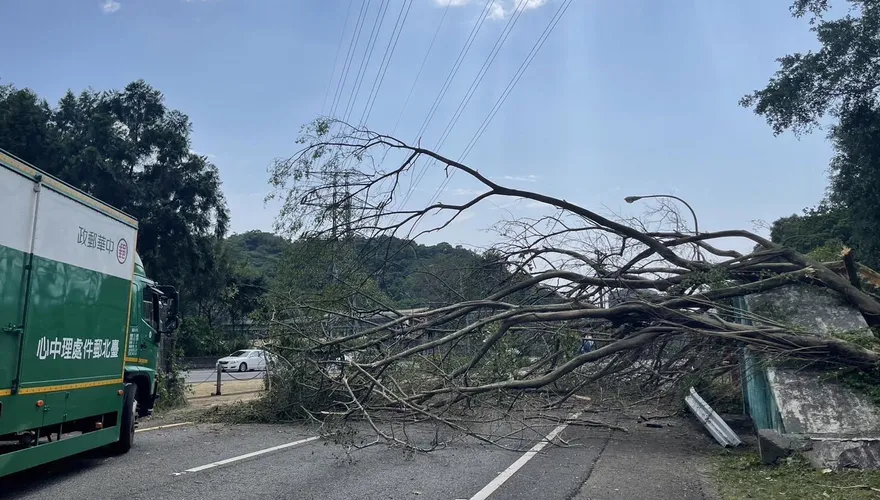 影/國3甲西向0.7公里處路樹倒塌佔全線車道！現場一度傳車輛遭砸中