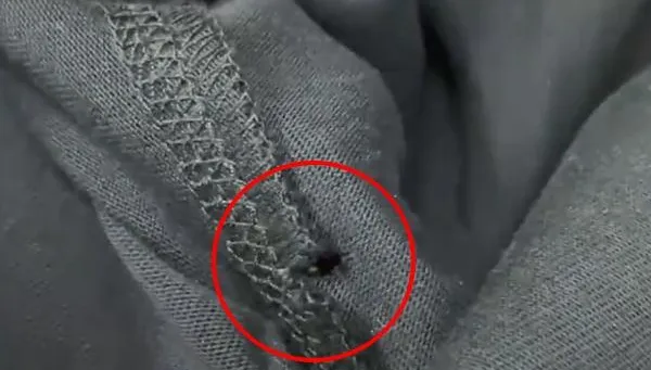 影/惡意栽贓？男客失手將衣服掉地上　店員稱「破一個洞」要求照價購買