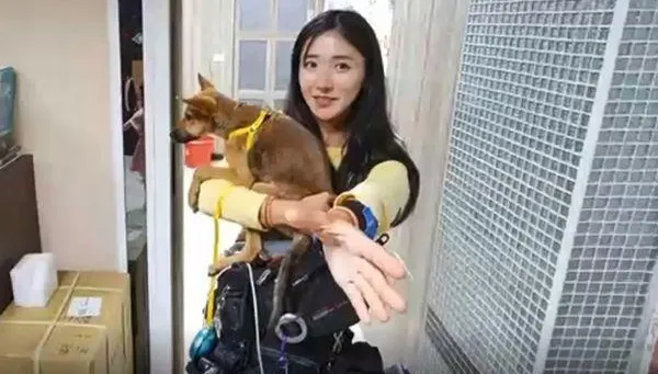 企鵝妹環島遇流浪犬暖心送治療　醫院大讚：「人美心更美」