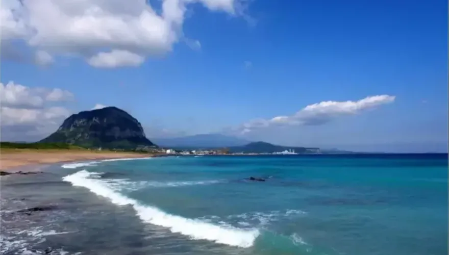 台旅行團濟州島車禍釀7傷　觀光局證實傷者已全出院