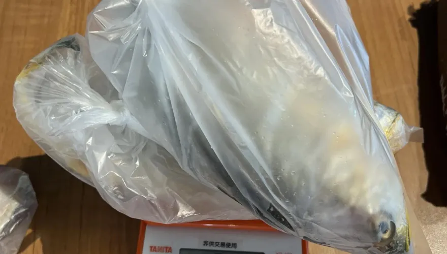常見黃魚竟驗出「恩氟喹啉羧酸」！衛生局：吃下肚恐引發腸胃不適