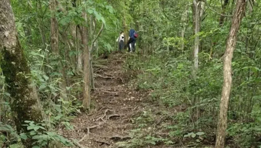 強光巨響後「人硬生生倒下」　她親曝爬山遭雷擊：全身麻木十幾秒沒知覺