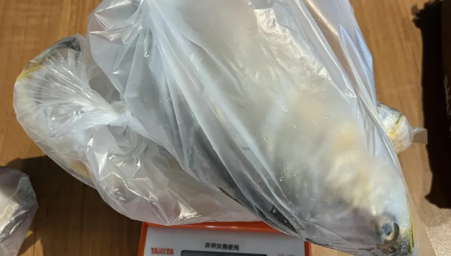 北市六廚川客餐廳黃魚驗出「禽用殺菌劑」　市府下令停賣