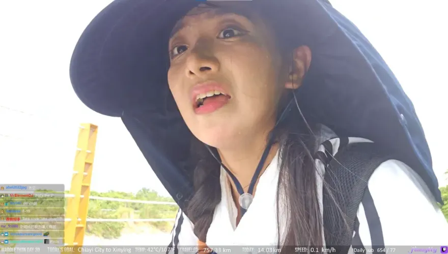 企鵝妹環島「撞況多」！民眾開車拍照橫跨雙黃線　她連勸阻5次：「不要拍」