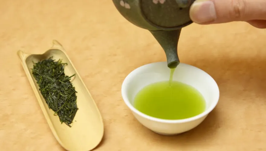 茶泡越久喝進越多農藥？毒物專家解答　重點是怕變質！