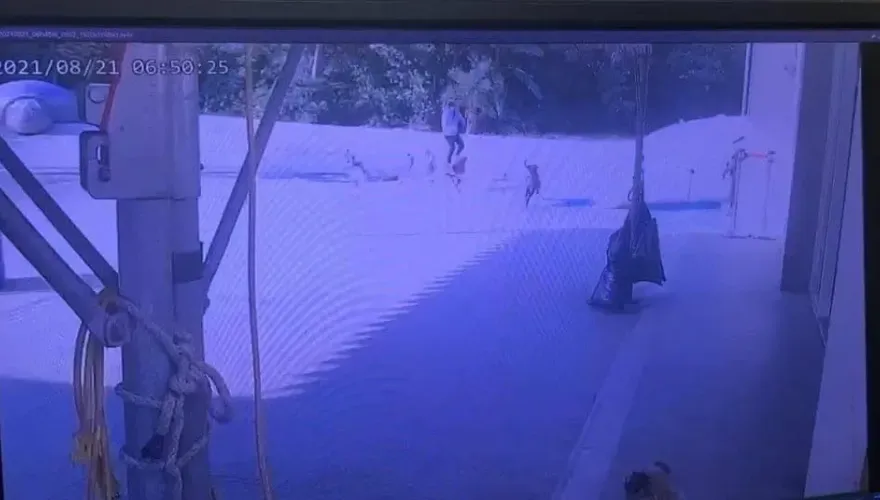 新竹婦晨運遭狗追摔死判國賠！新竹市府撤回上訴　高虹安：要考量人民感受