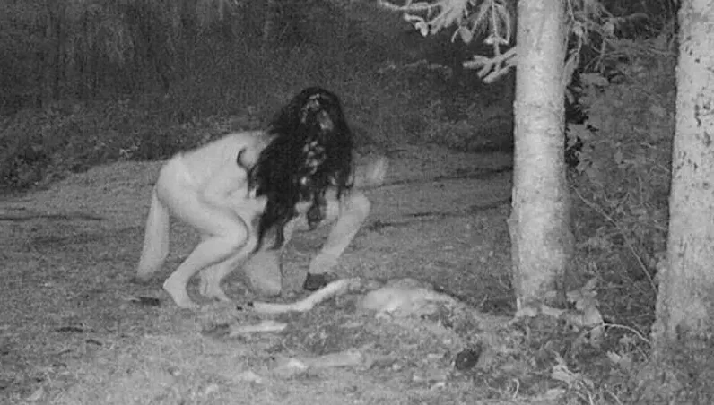 裸女啃食林中鹿屍　她檢查動物攝影機嚇壞：女巫傳說是真的！