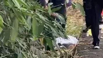 影/斗六市區草叢驚見「紅衣男屍」！無明顯外傷流血　警追車緝兇