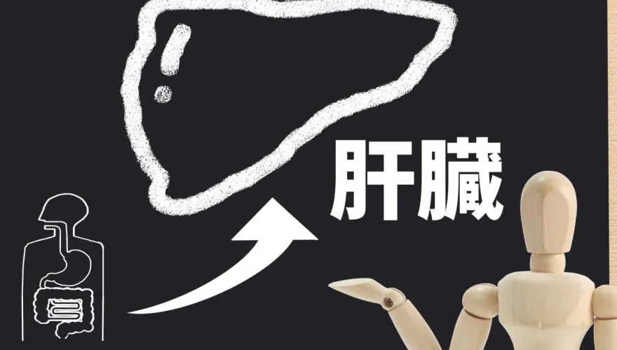 國病藏「無聲器官」內！營養師曝「9警訊」恐出問題