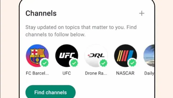 WhatsApp推出新功能「頻道」　管理員可單向發送文字、影片等給追隨者