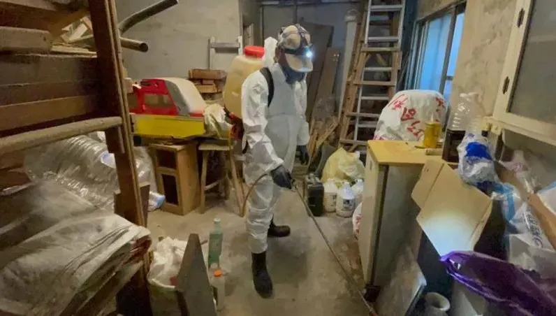 驚！高雄首例「漢他病毒」　中年男工作地附近竟捕獲23隻老鼠