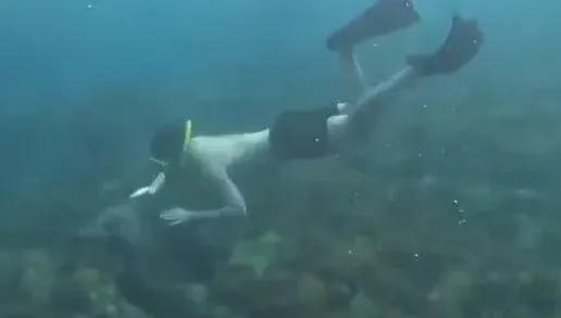 影/摸海龜全都錄！外籍男小琉球潛水「追龜玩」　海巡查緝中
