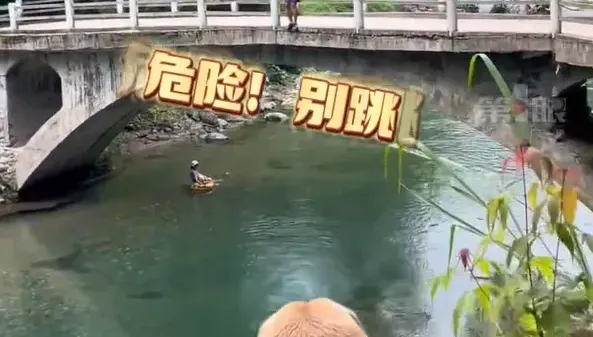 影/好暖！見男子準備從橋上躍下　忠心狗狗猛吠阻止…下秒飛奔跳水救人
