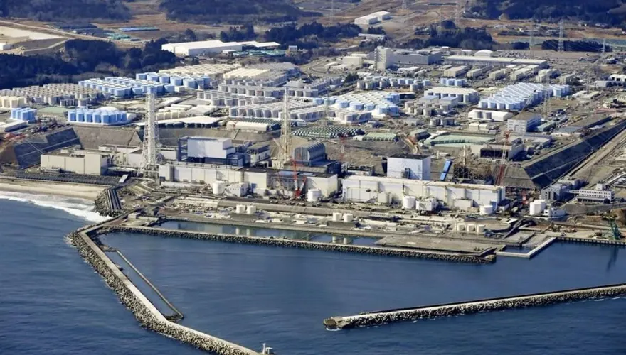 核廢水汙染海洋？港澳禁止日本10縣市水產品　台灣暫不跟進　食藥署：沒看到風險