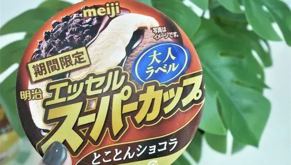 夏日就是要吃冰！日本「究極巧克力冰淇淋」進駐超商、馬卡龍雪糕限時優惠中