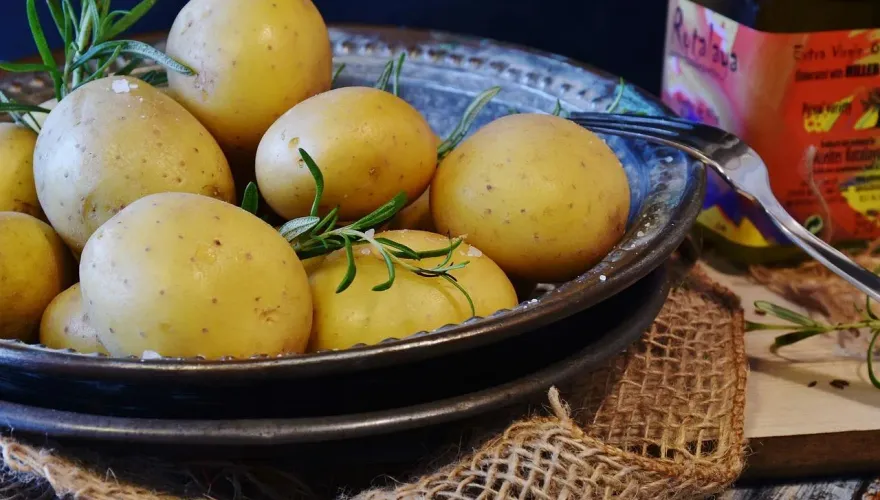 食物別亂吃！這些誤食會中毒　恐貧血、失智嚴重休克