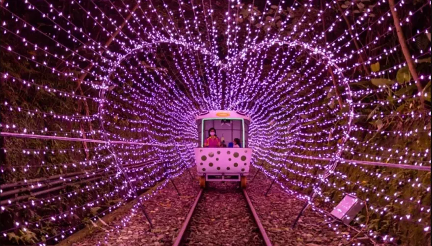 暑趣玩/仲夏新北賞花踏浪　東北角騎自行車度浪漫七夕