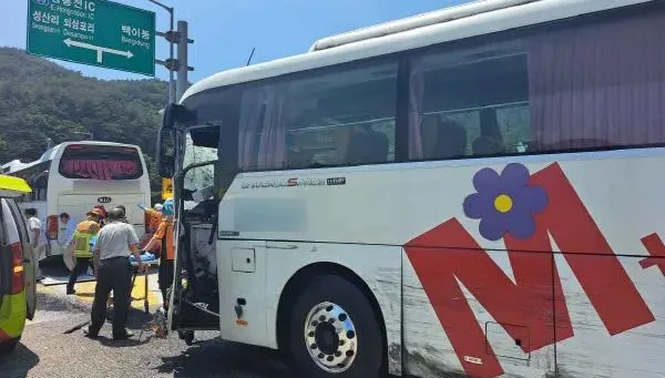 韓國國道7車追撞80傷　校車司機坦承打瞌睡釀禍