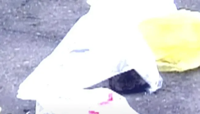 舞小姐殺手1/她慘遭分屍棄置北桃兩地　車內1張金錶當票讓兇手俯首認罪