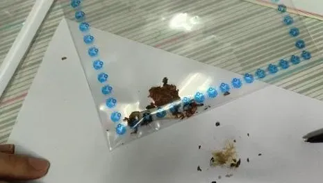 影/淡水清水祖師爺遶境爆警民推擠！　男遭盤查竟當場「吞毒」