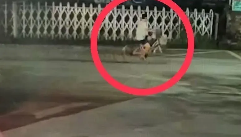 影/鐵馬妹子自行車道慘遭MeToo！全裸男對著她DIY後秒逃　警掌握行蹤追緝中