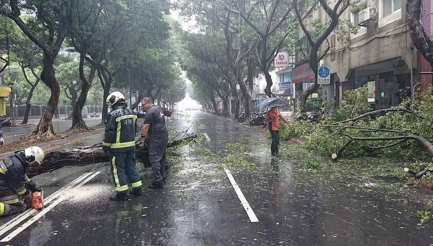 午後強降雨北市路樹倒塌　多處小範圍積淹水