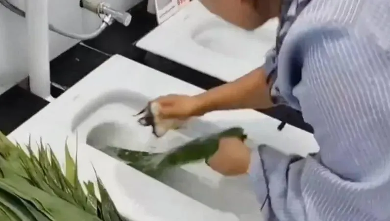 影/衛浴專賣店「蹲式馬桶」洗粽葉　挨批不衛生老闆嗆：比你家菜盆還乾淨