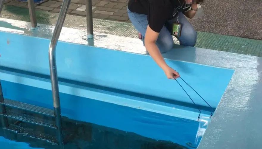 游泳旺季來臨！高雄市抽驗480件竟有2處不合格