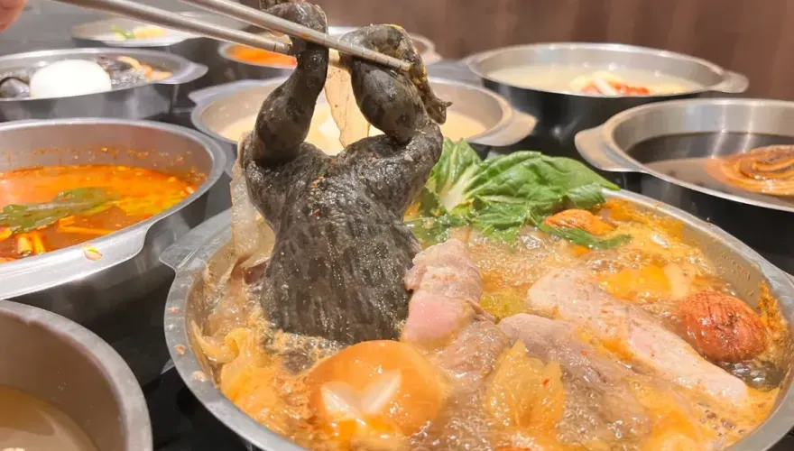 獵奇料理再來！原型青蛙火鍋「連皮帶骨」　網批：無腦跟風搏版面