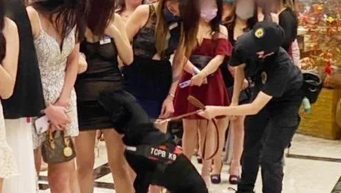 影/青春專案警犬鼻搗「三角禁區」！酒店小姐羞答答　揪出長腿妹是通緝犯
