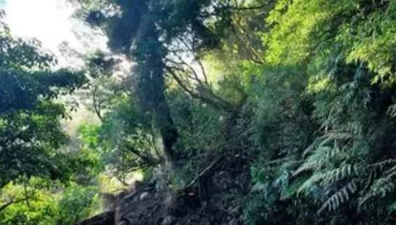 快訊/南投台14線翠峰路段又坍方！「落石不斷」預計下午搶通