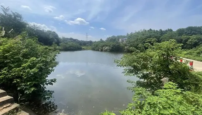 68歲翁捨命救人！水中托舉孩童10幾分鐘不幸溺斃　家屬淚崩：感恩一輩子