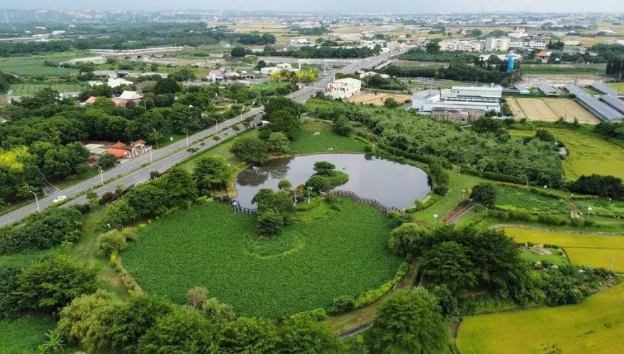 嘉縣大林明華溼地生態園區　復育有成吸引大量獨角仙覓食飛舞