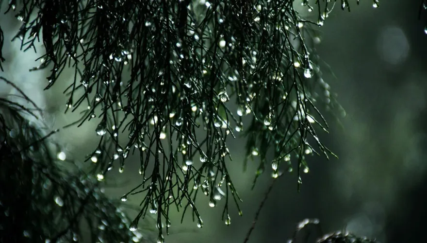 鋒面通過！「9縣市」大雨炸到明天　氣象署：基隆北海岸注意長浪