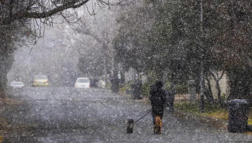 影/南非約翰尼斯堡「10年一遇大雪」　民眾嗨翻出門享受銀白世界