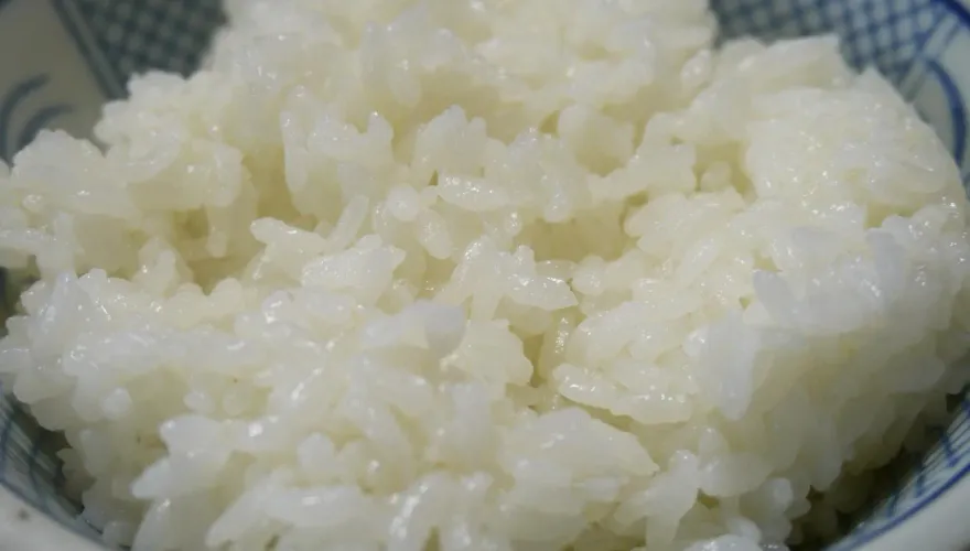 白飯之亂延燒！北科大學生發起「第1屆飯桶王大賽」　教育部：曾有學生吃到喪命