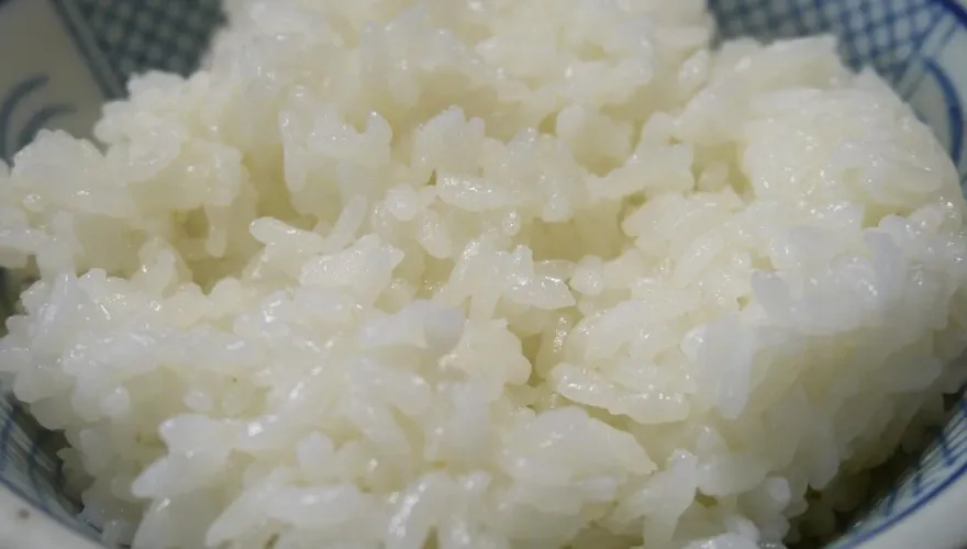 會吵的球員有飯吃？中日龍13連敗扯出「白飯之亂」　白飯禁令疑來自這件事