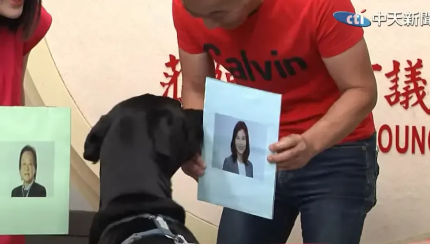 影/狗界「章魚哥」預測這區立委選情秒選她　徐巧芯：正藍軍狗狗