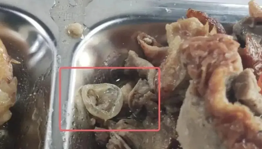 影/學校餐廳飯吃到「保險套」？校方：半透明膠質物為「鴨子眼球膜」